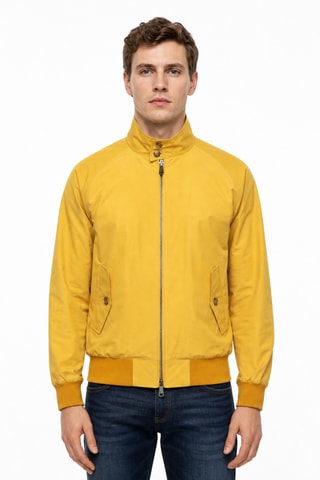 Jack - Geel