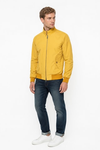 Jack - Geel