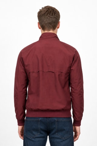 Jack - Bordeauxrood