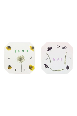 Presse à fleurs et feuilles en bois - 19 pièces - Dès 5 ans