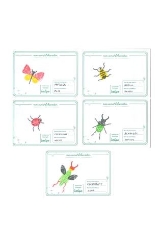 Tampons en bois et encreurs - Insectes - 22 pièces - Dès 3 ans