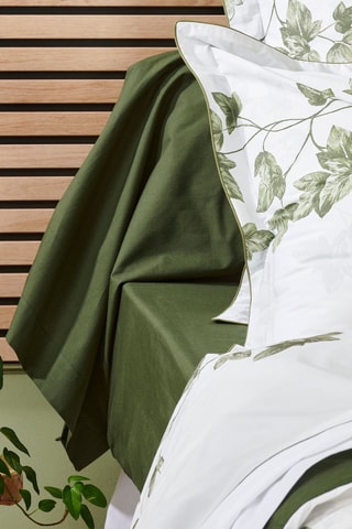 Drap-housse en percale de coton 31 fils/cm² Lierre - Vert