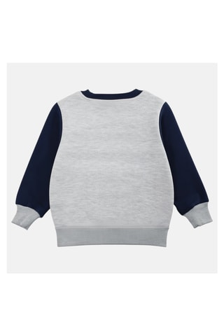 Sweater Sonic  - Grijs