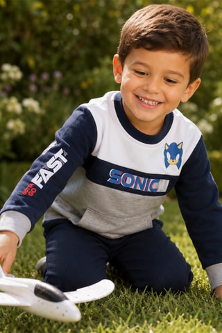 Sweater Sonic  - Grijs
