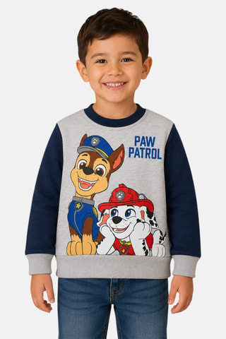 Sweater Paw Patrol - Grijs