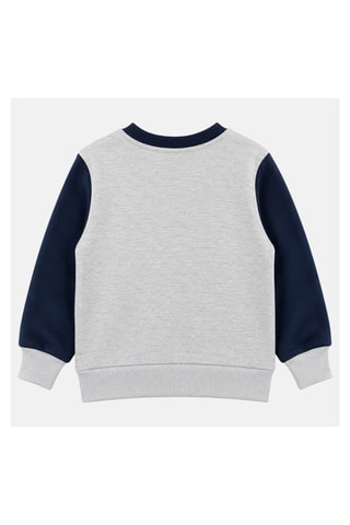 Sweater Paw Patrol - Grijs