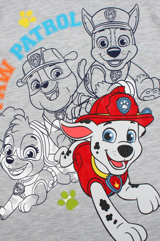 T-shirt Paw Patrol - Grijs