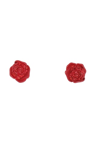 Oorbellen - Rood