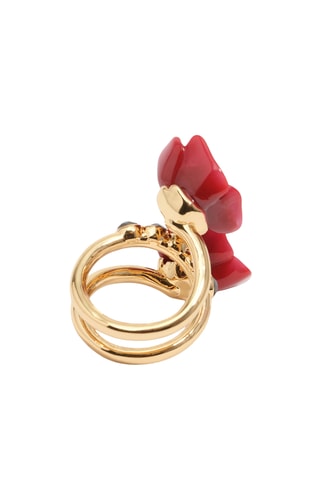 Ring - Rood