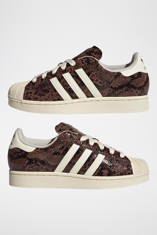 Baskets en cuir Superstar - Marron et écru