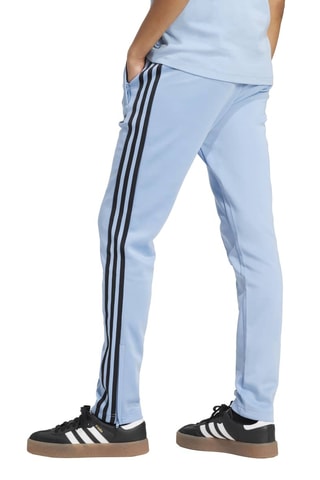 Pantalon slim de survêtement Adicolor - Ciel