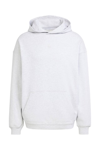 Sweat à capuche Premium Essentials - Gris clair
