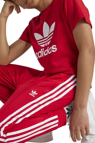 Pantalon de survêtement Adicolor - Rouge