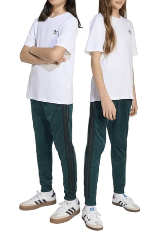 Pantalon regular de survêtement Adicolor - Vert foncé