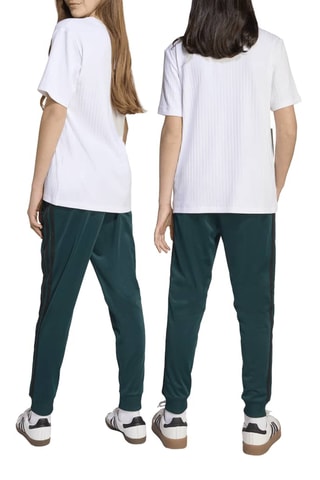 Pantalon regular de survêtement Adicolor - Vert foncé