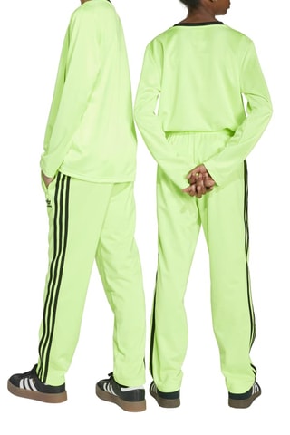 Pantalon regular de survêtement Adicolor - Vert clair