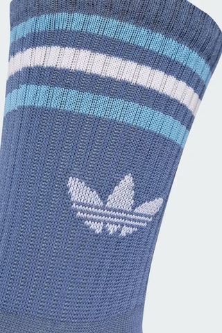 3 paires de chaussettes montantes Adicolor - Blanc