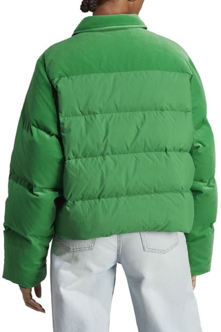 Doudoune en velours Velvet Puffer Vert