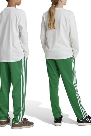 Pantalon Firebird - Vert clair