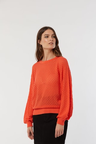 Trui Calio - Oranje
