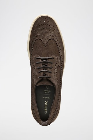 Derbys en cuir de veau Spherica - Marron