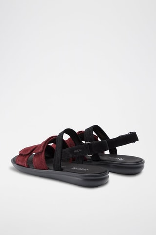 Sandales en nubuck Jearl - Noir et bordeaux