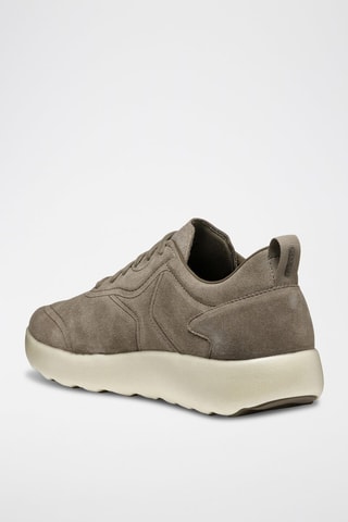 Baskets en cuir de veau nubuck Xtors - Taupe