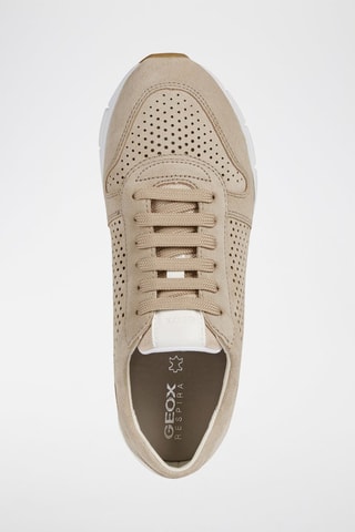 Baskets en nubuck Sukie - Taupe