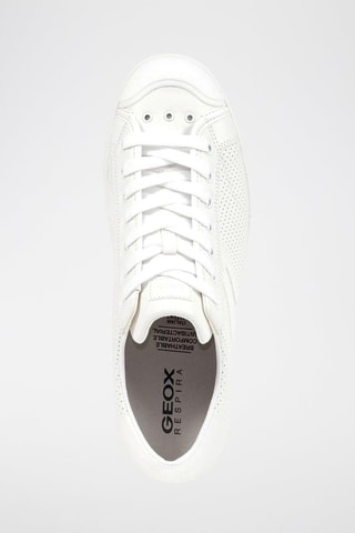 Baskets Warren - Blanc