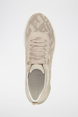 Baskets en nubuck Theragon - Taupe