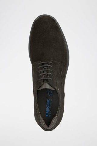 Derbys en cuir Spherica Café