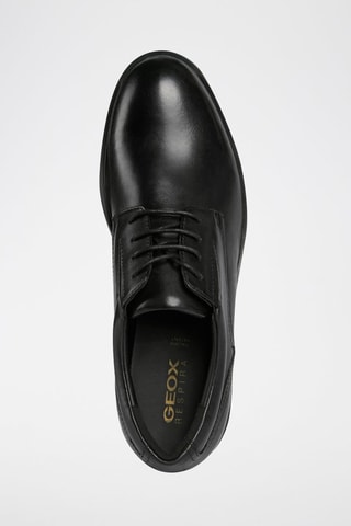 Derbys en cuir Appiano - Noir