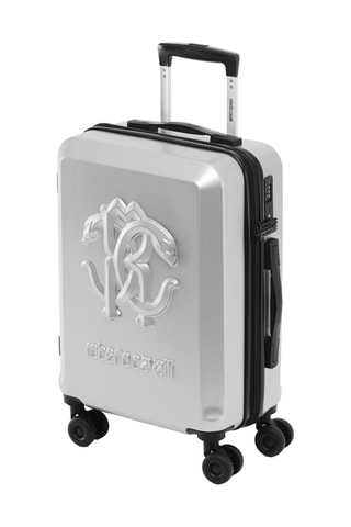 Handbagagetrolley (S)- Zilverkleurig - 56,5 cm