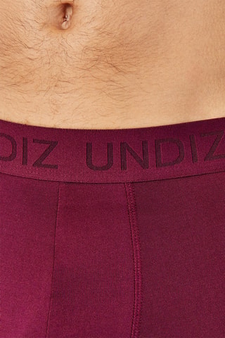 Boxer Repeatiz - Bordeaux