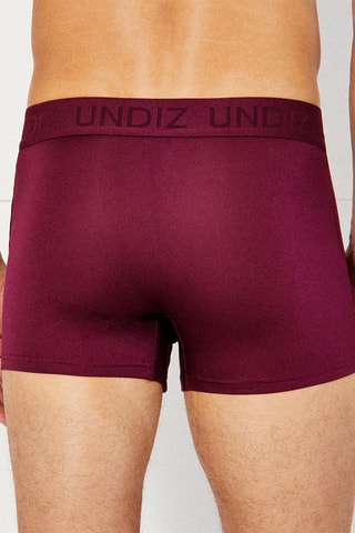 Boxer Repeatiz - Bordeaux