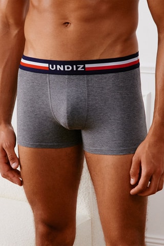 Boxer Trifranciz - Gris chiné