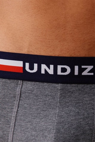 Boxer Trifranciz - Gris chiné