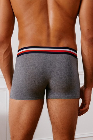 Boxer Trifranciz - Gris chiné