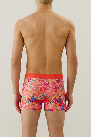 Boxer Repeatiz - Corail