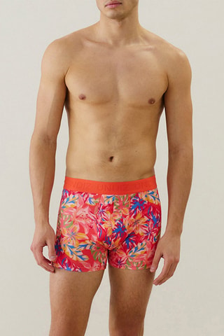 Boxer Repeatiz - Corail