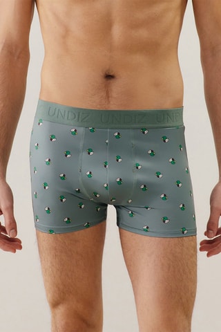 Boxer Repeatiz - Gris clair