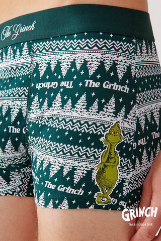 Boxer The Grinch - Vert