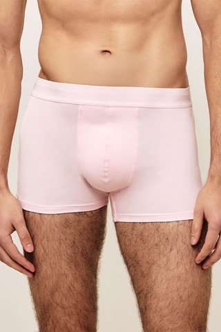 Boxer Kisshotiz - Rose