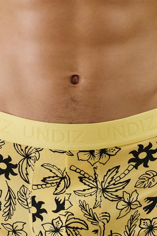 Boxer Repeatiz - Jaune