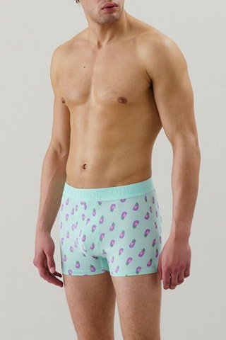 Boxer Repeatiz - Vert d’eau