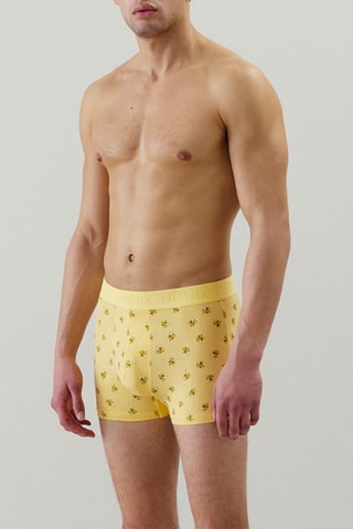 Boxer Repeatiz - Jaune