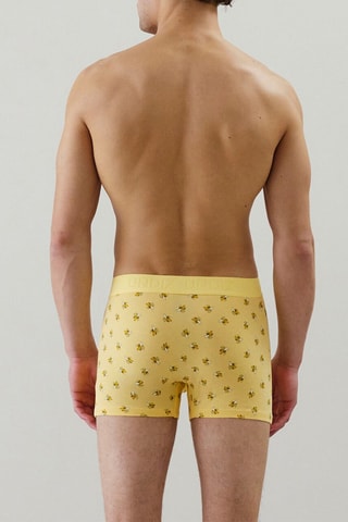 Boxer Repeatiz - Jaune