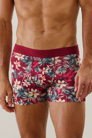 Boxer Laceboxiz - Bordeaux