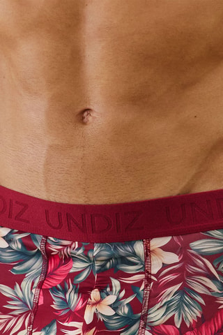 Boxer Laceboxiz - Bordeaux