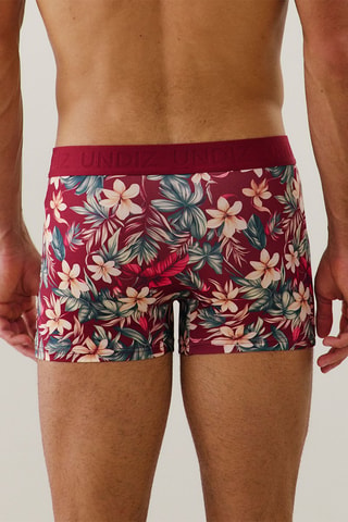 Boxer Laceboxiz - Bordeaux